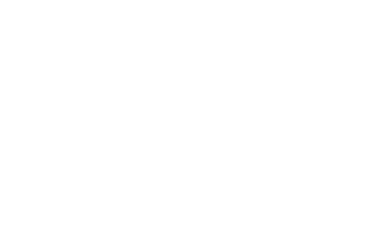 KP Lime is a market leading producer and distributor of burnt lime, burnt dolomite and raw limestone through a vertically integrated mine to customer business model. 